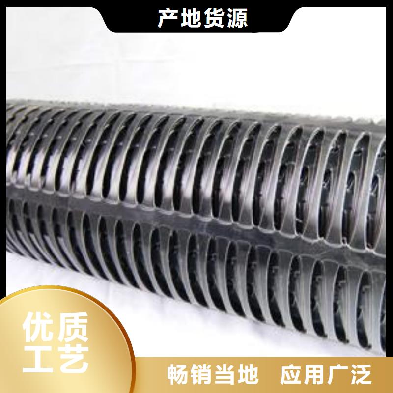 雙向塑料土工格柵_水土保護(hù)毯研發(fā)生產(chǎn)銷售