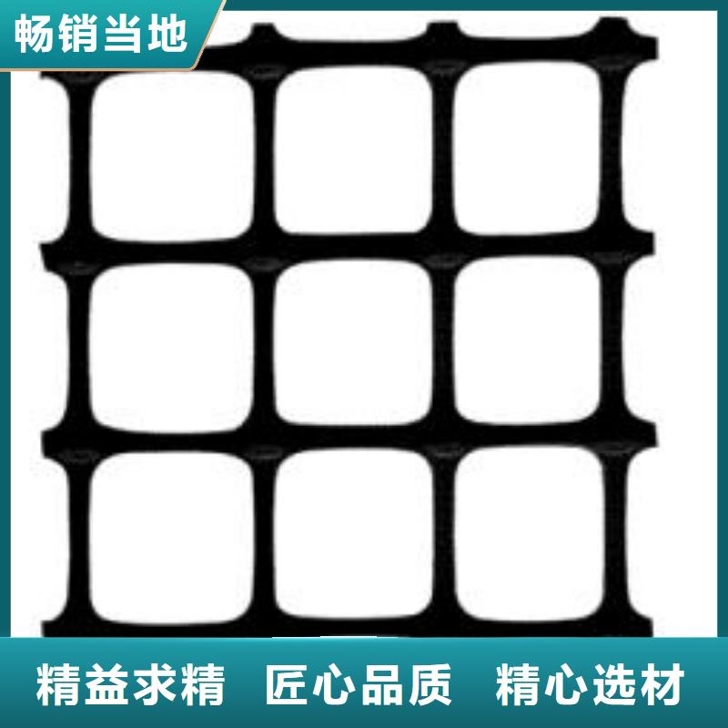 雙向塑料土工格柵三維植被網現貨采購
