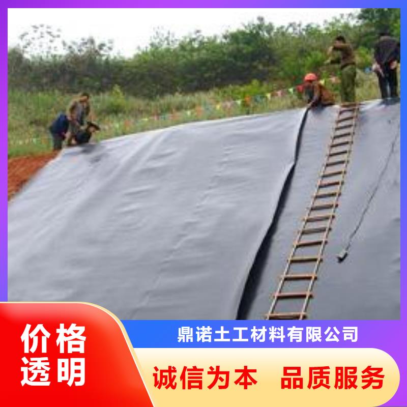 【土工膜,玻纖格柵滿足您多種采購(gòu)需求】