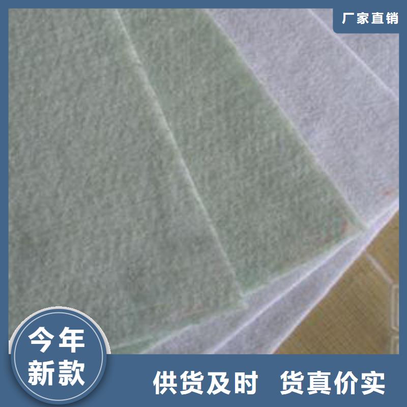 土工布-【水土保護(hù)毯】實(shí)力廠家直銷