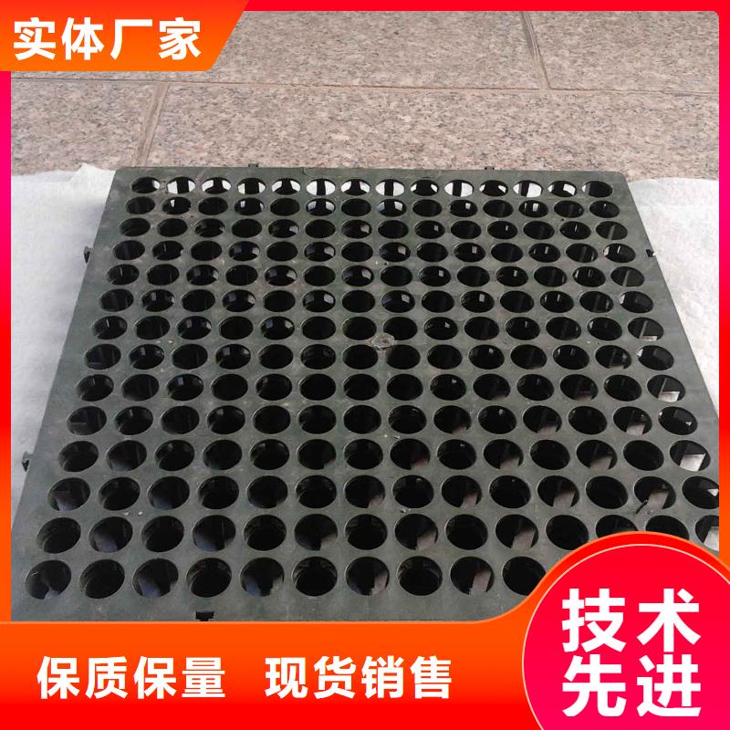 蓄排水板,三維土工網墊產地直供