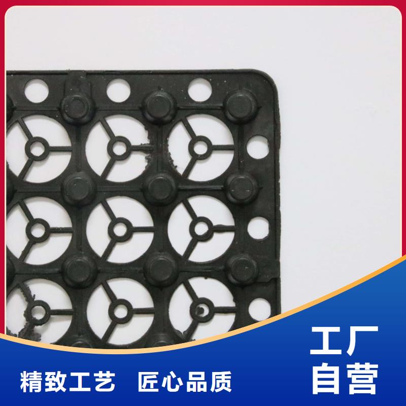 蓄排水板_單向塑料土工格柵優質原料