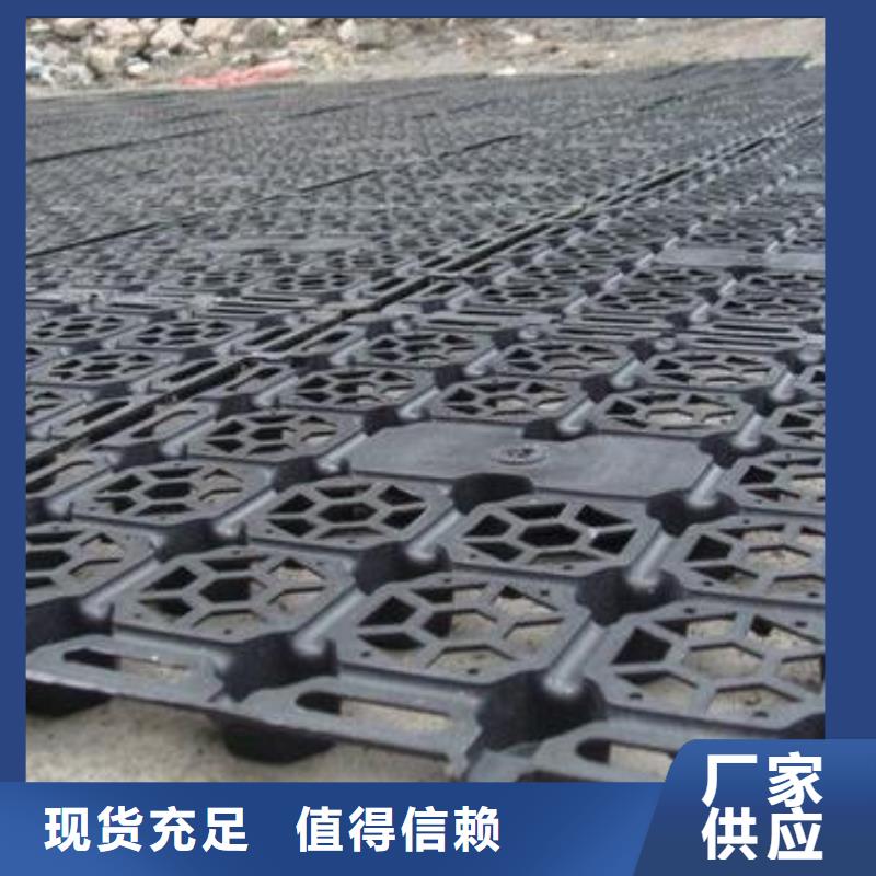 蓄排水板_單向塑料土工格柵優質原料