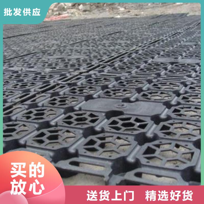 蓄排水板_單向塑料土工格柵優質原料
