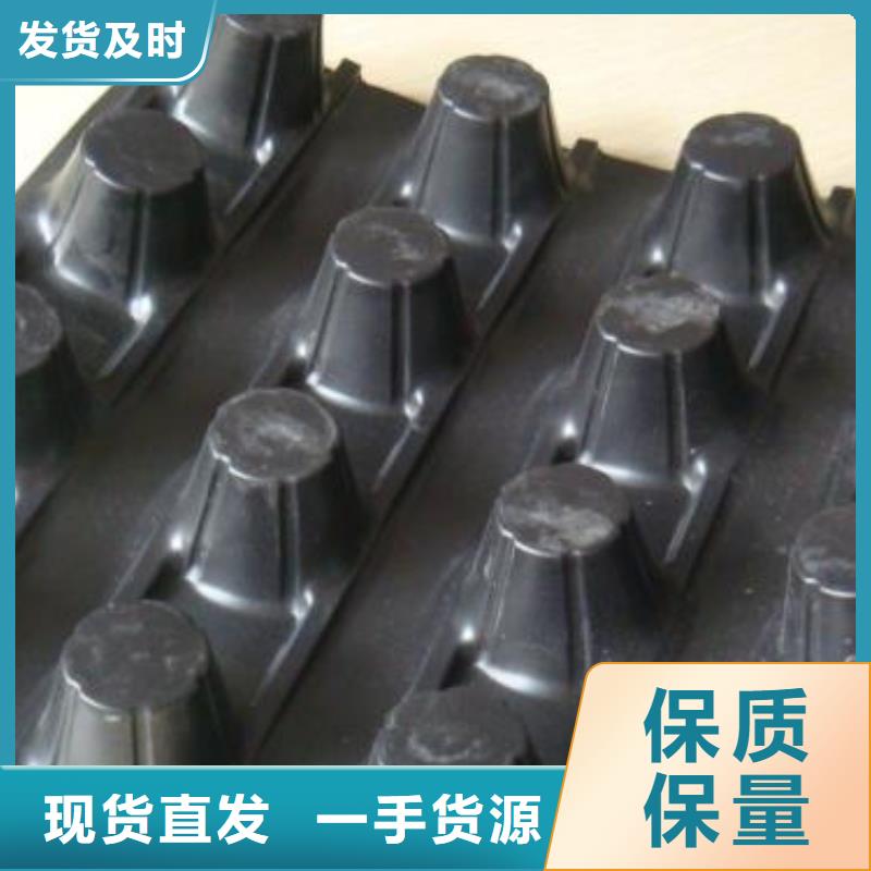 蓄排水板_單向塑料土工格柵優質原料