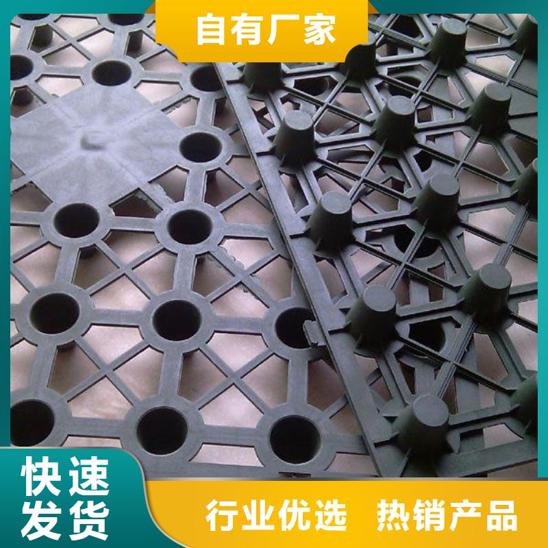 蓄排水板_PP焊接土工格柵高質量高信譽