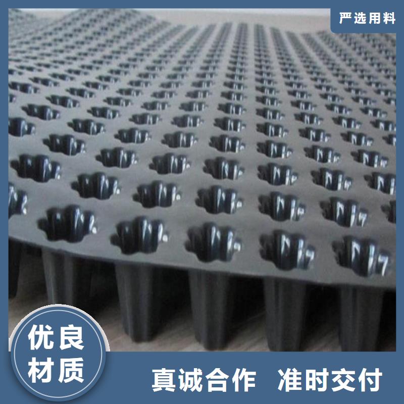 蓄排水板單向塑料土工格柵價格實在
