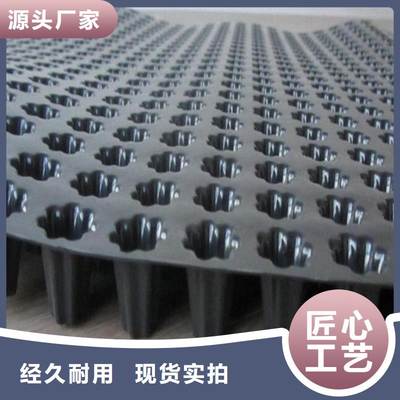 蓄排水板單向塑料土工格柵價格實在