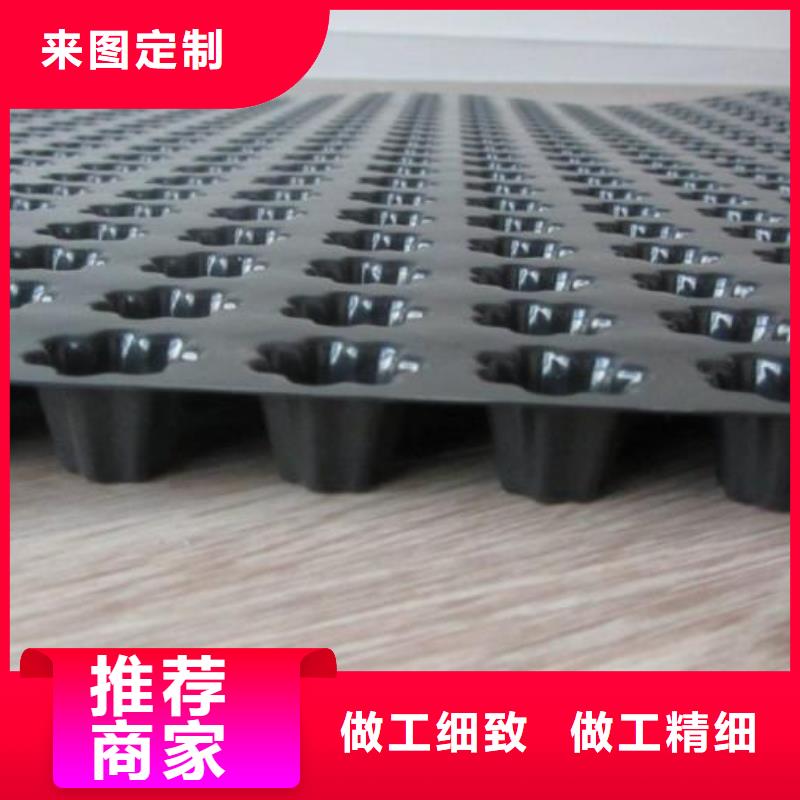 蓄排水板單向塑料土工格柵價格實在