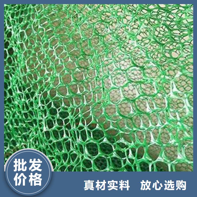 【三維植被網(wǎng)】軟式透水管產(chǎn)地直供
