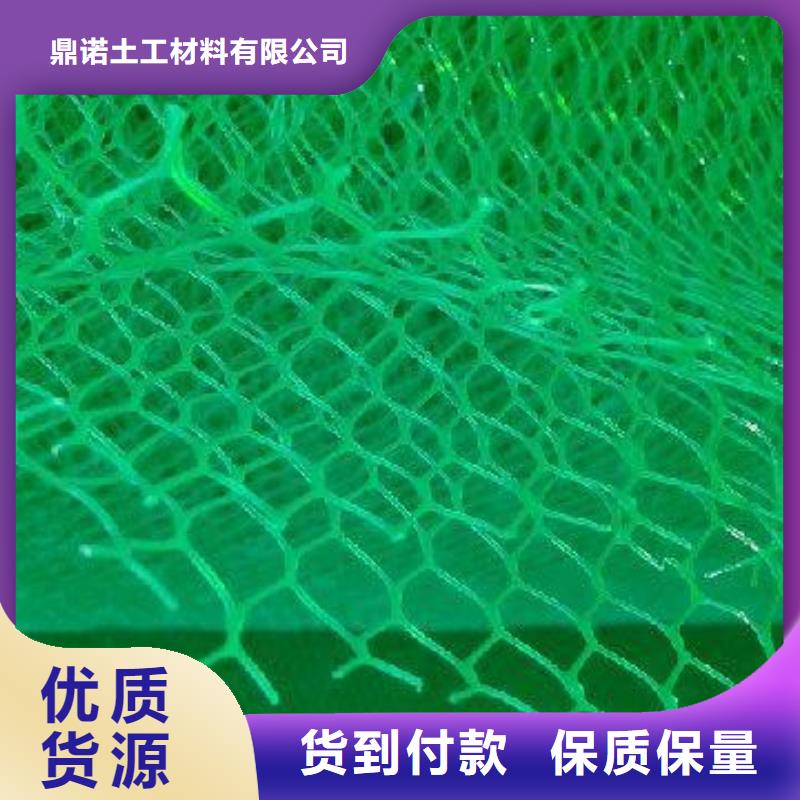 三維植被網實力廠商