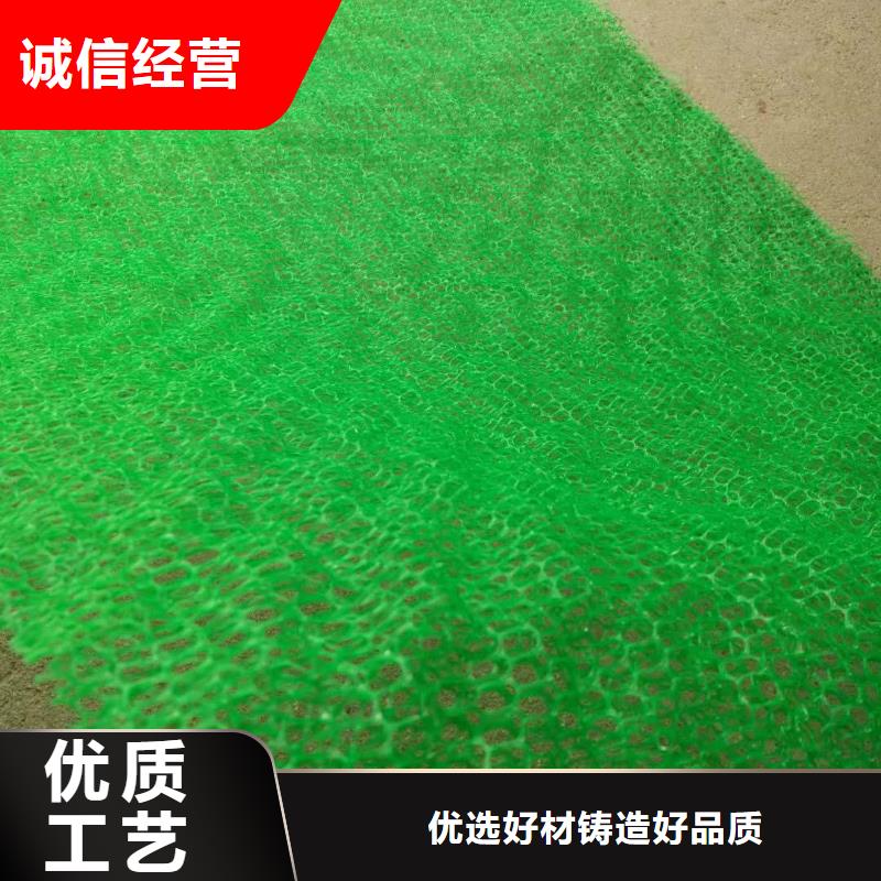 三維植被網(wǎng)土工席墊多年行業(yè)積累