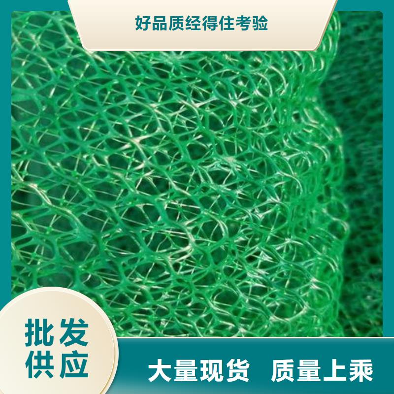 三維植被網(wǎng)單向塑料土工格柵自有廠家