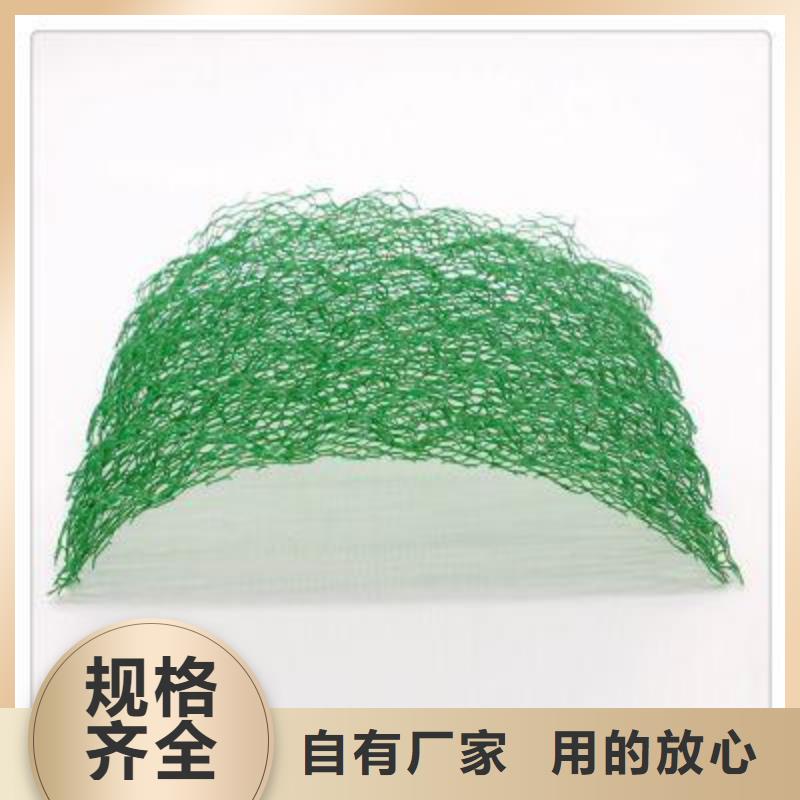 三維植被網軟式透水管細節之處更加用心