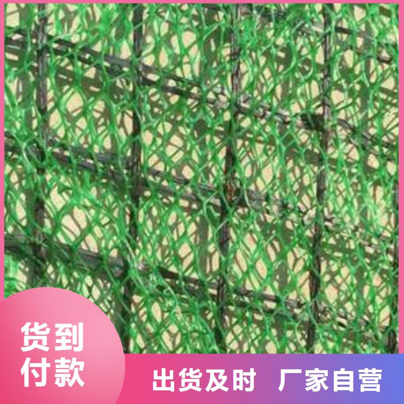 三維植被網(wǎng)【水土保護毯】直銷廠家