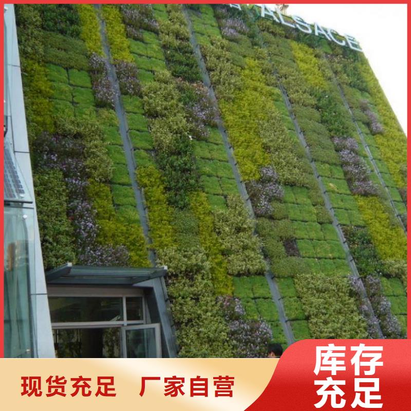 【三維植被網】軟式透水管產地直供
