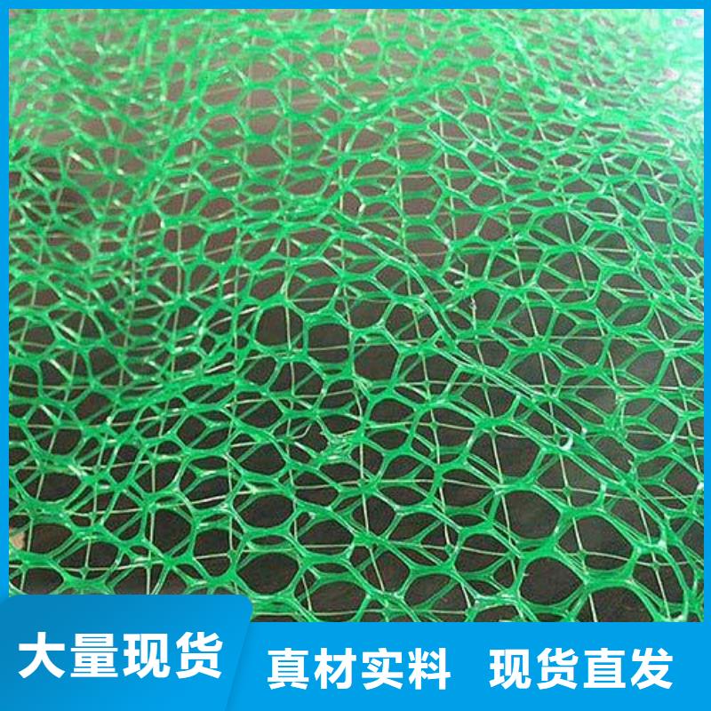 专业厂家《鼎诺》三维网垫厂家-三维植被网生产厂家