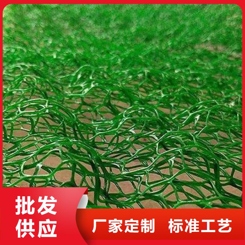 品质优选【鼎诺】三维植被网植草护坡