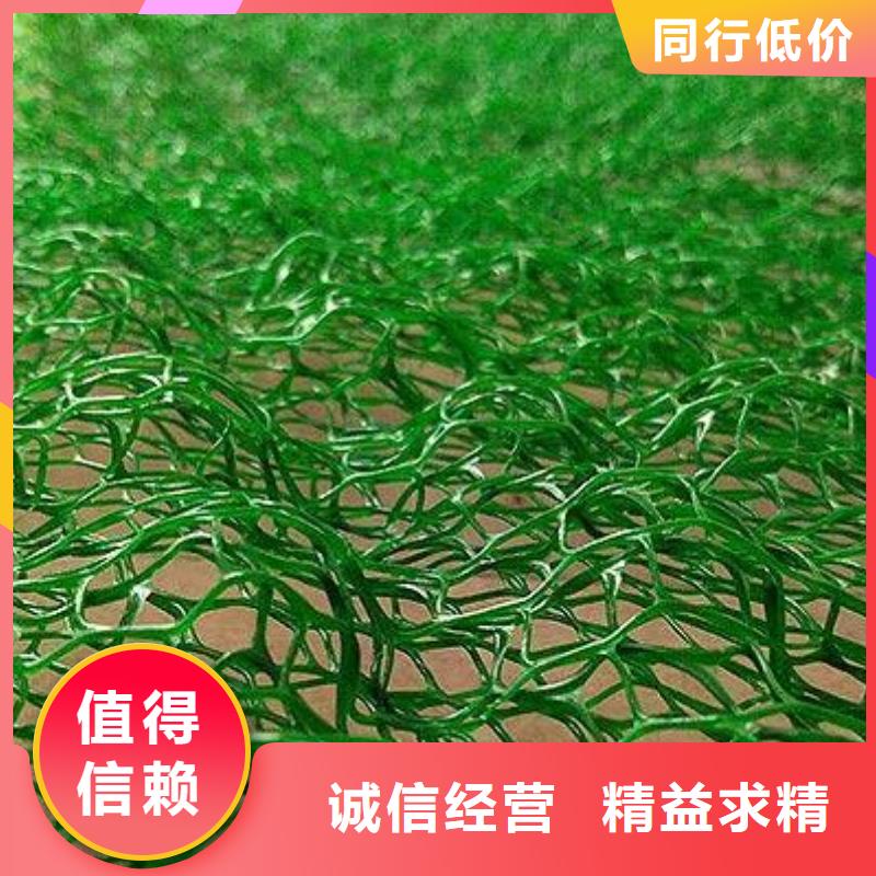 订购【鼎诺】三维植被网植草护坡