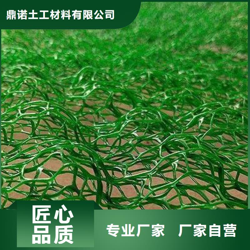 源厂直接供货【鼎诺】三维植被网植草护坡边坡防护