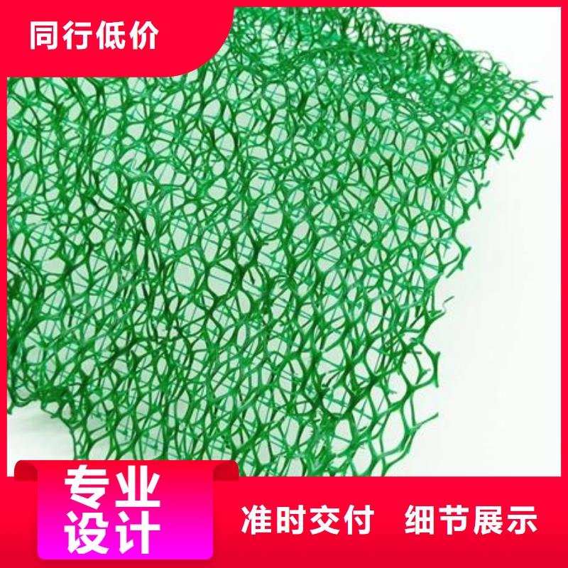 各种规格、各种厚度的三维植被网