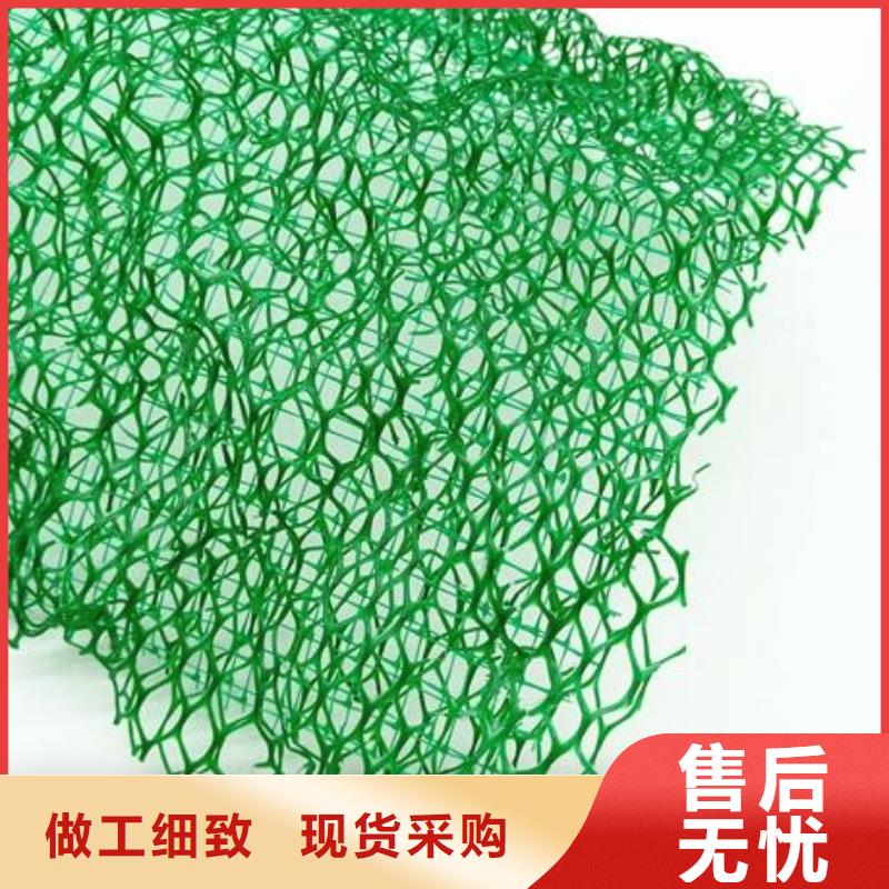 工厂直销【鼎诺】三维植被网绿色复合植被网三维土工植被网