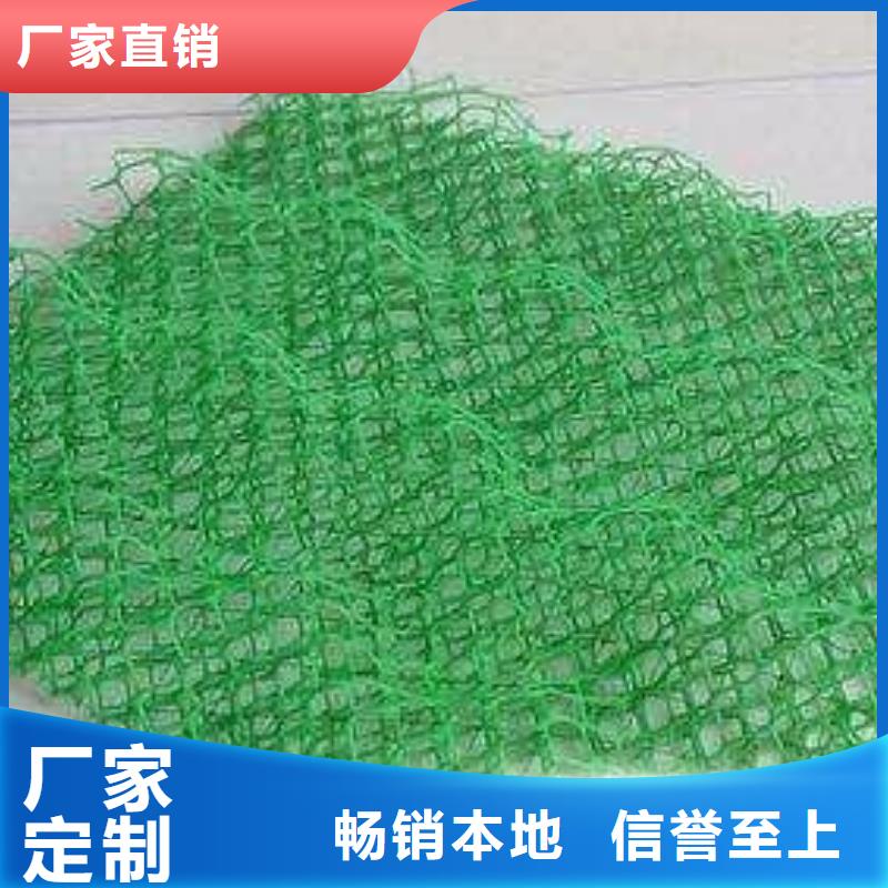工厂直销【鼎诺】三维植被网绿色复合植被网三维土工植被网