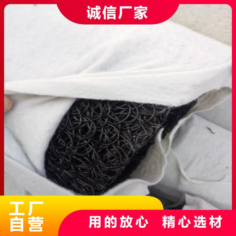 【塑料盲溝三維土工網墊設備齊全支持定制】