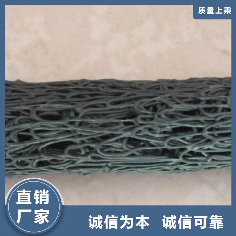 塑料盲溝滌綸土工格柵現貨