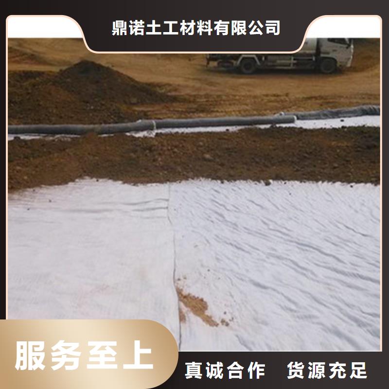 精选货源[鼎诺]厂家批发膨润土防水毯GCL膨润土防水毯厂家定制