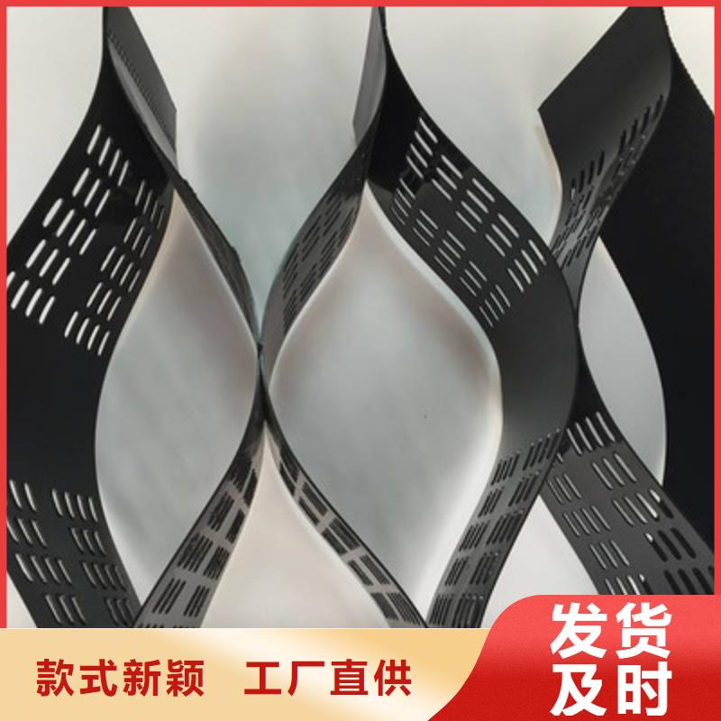 土工格室-滲排水片材廠家采購