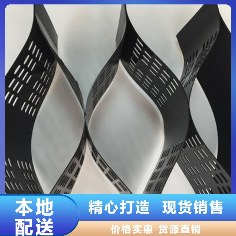 土工格室雙向拉伸土工格柵優質原料