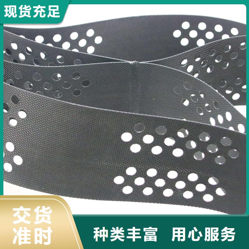 土工格室-滲排水片材廠家采購