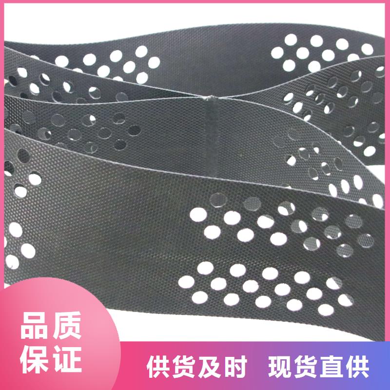 土工格室-滲排水片材廠家采購
