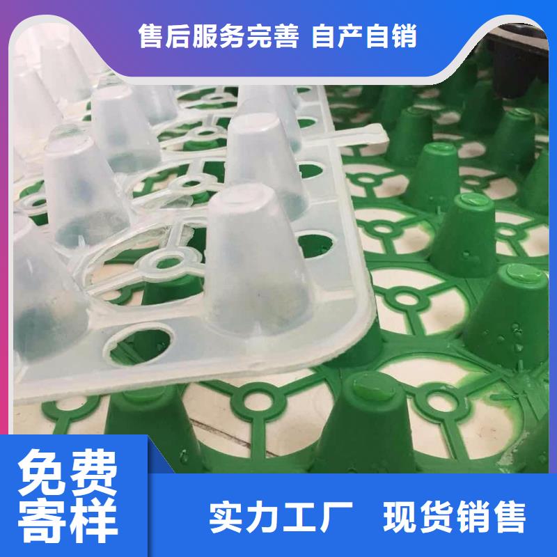 【塑料排水板玻璃纤维土工格栅技术先进】