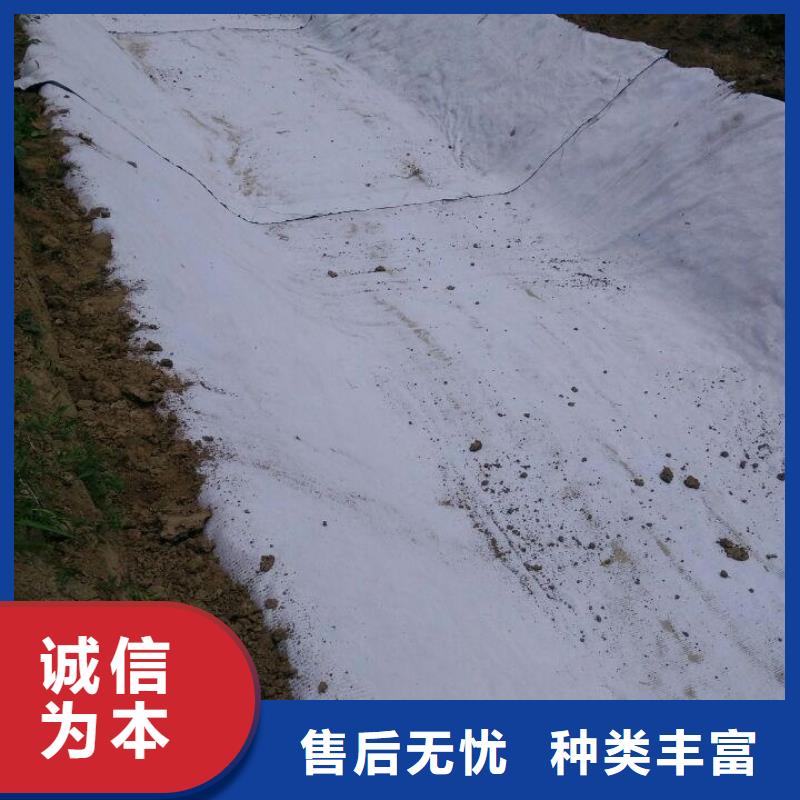 【防水毯_涤纶土工格栅自有厂家】