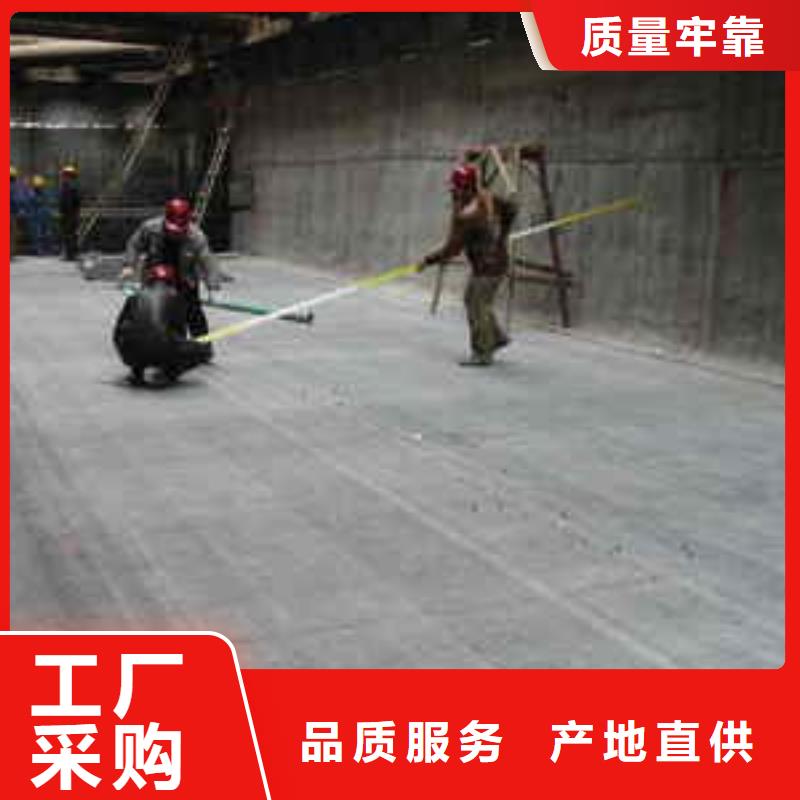 防水毯雙向塑料土工格柵來圖定制
