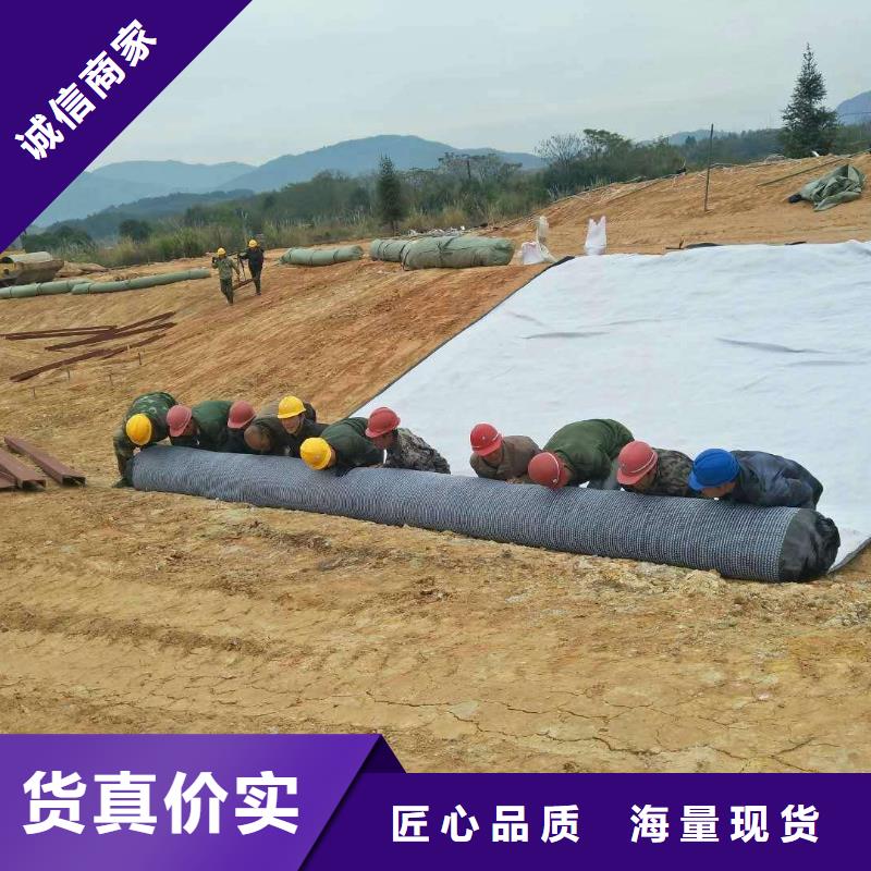 厂家经验丰富【亿路通】防水毯-三维水土保护毯优选货源