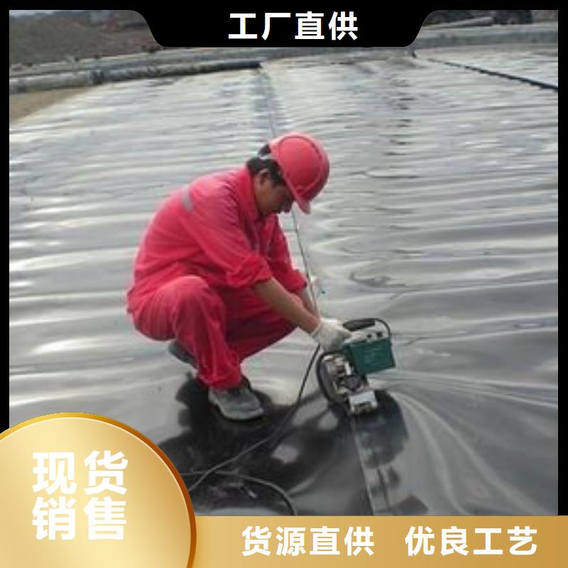 土工膜滌綸土工格柵廠家質量過硬
