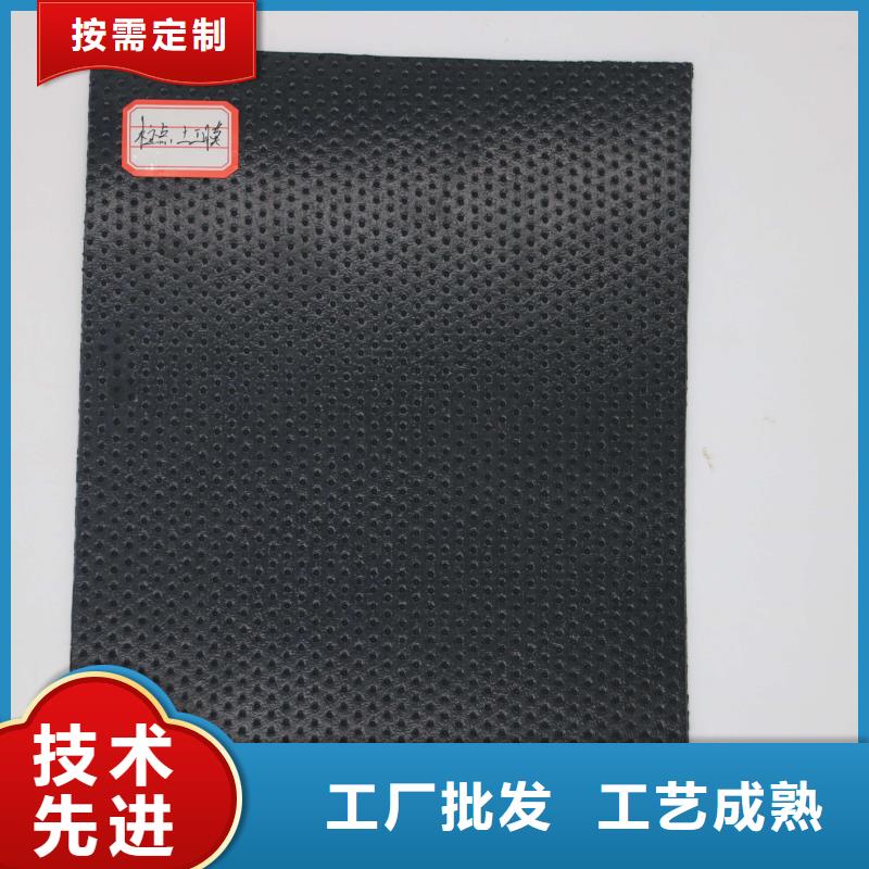 土工膜單向塑料土工格柵自有生產工廠