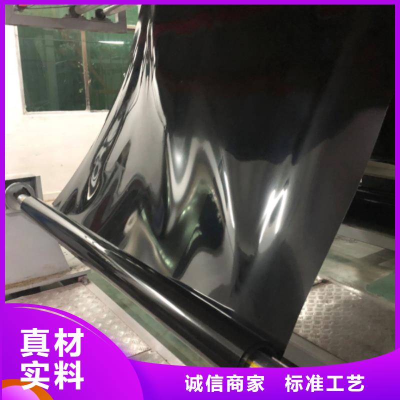 土工膜滌綸土工格柵廠家質量過硬
