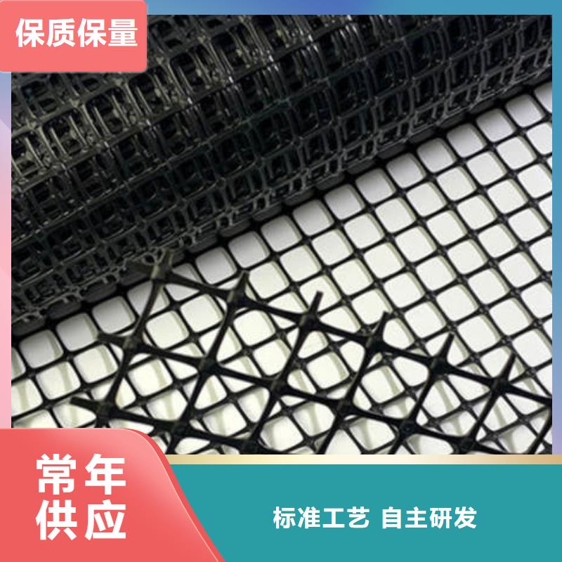 土工格柵鋼塑土工格柵廠家講信譽保質量
