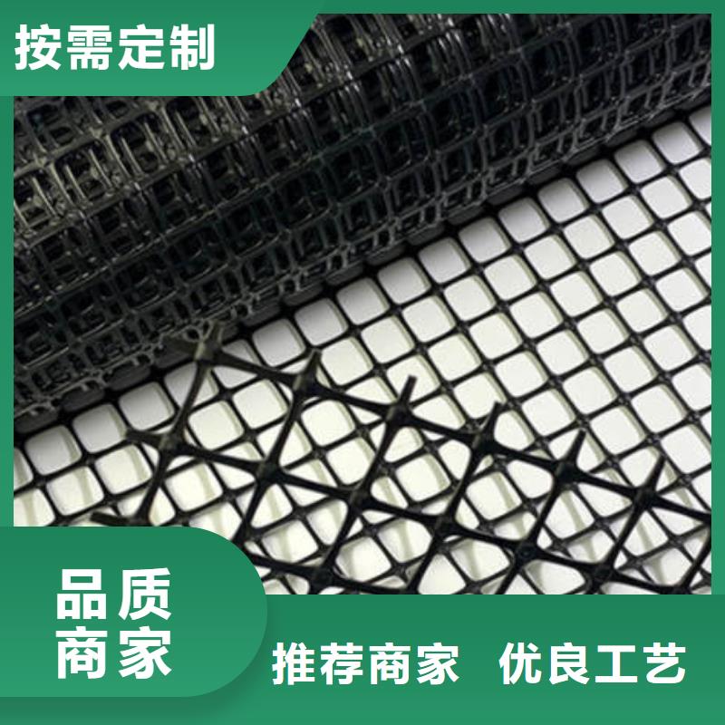 土工格柵鋼塑土工格柵廠家專業生產制造廠