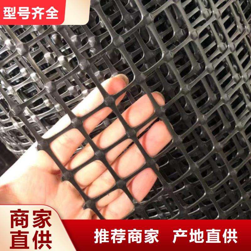 土工格柵土工膜源頭廠家來圖定制