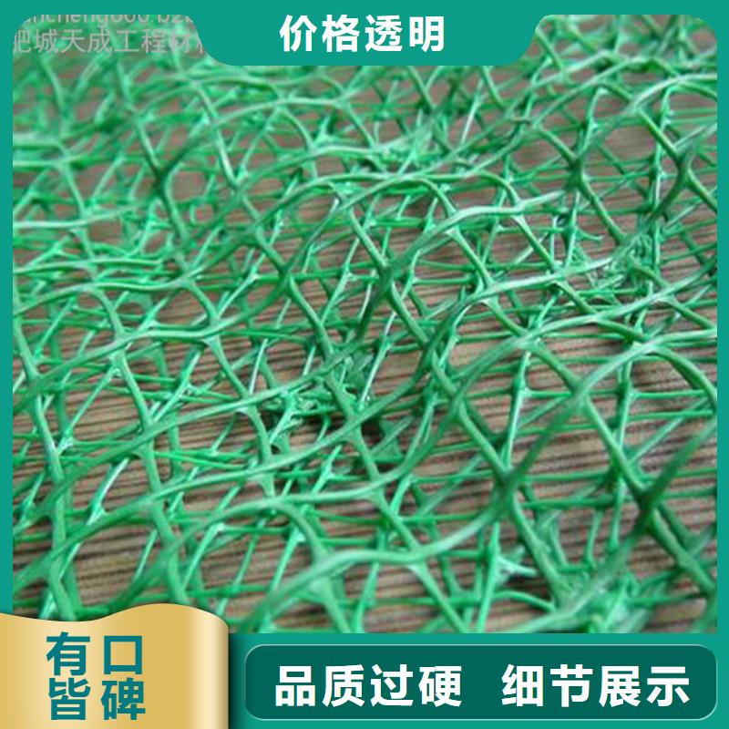 三維植被網凸結點鋼塑土工格柵實地大廠