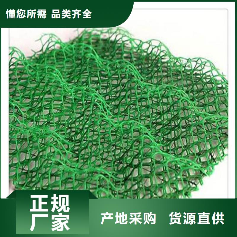 三維植被網土工布價格現貨齊全售后無憂