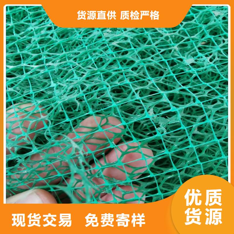 三維植被網(wǎng)鋼塑土工格柵廠家產(chǎn)地采購