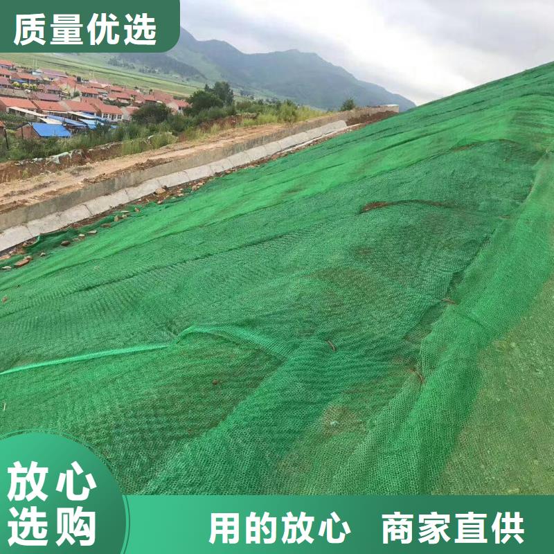 三維植被網(wǎng)鋼塑土工格柵廠家產(chǎn)地采購