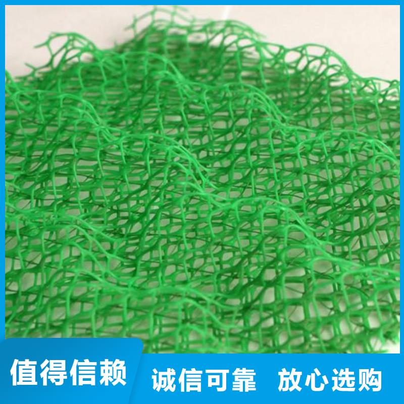 三維植被網_復合土工膜專業按需定制