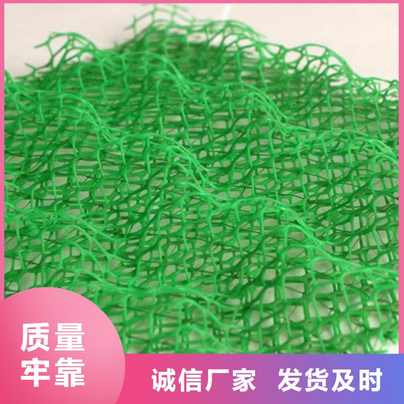 三維植被網土工布價格現貨齊全售后無憂